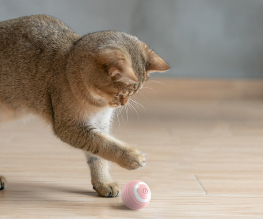 SmartPlay - Der automatische, aufladbare Katzen-Spaßball