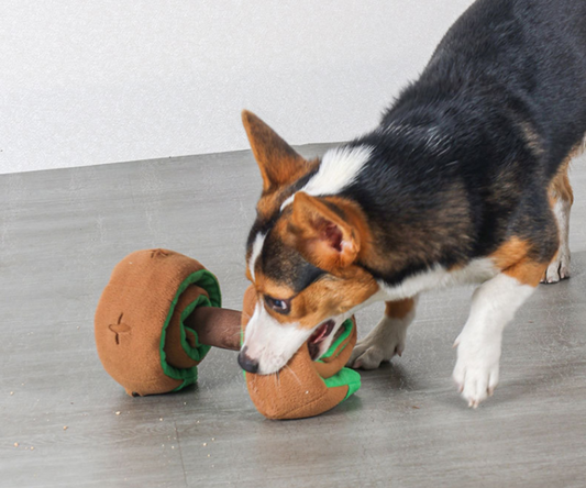 Plüsch-Hantel: Lustiges Spielzeug für Hunde