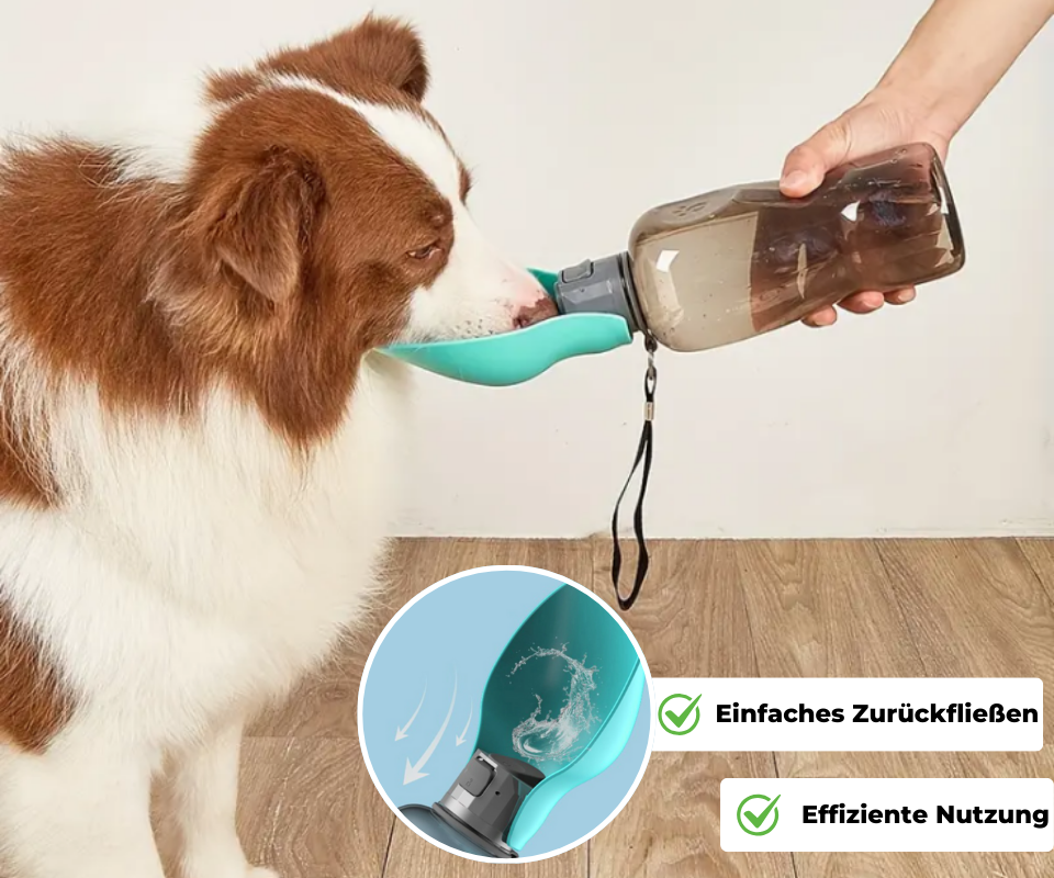 HydroPup: 800ml Trinkflasche mit Trinkschale für Hunde